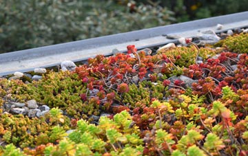 the cost of West Anstey green roof installation