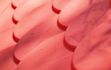 West Anstey plastic roof costs