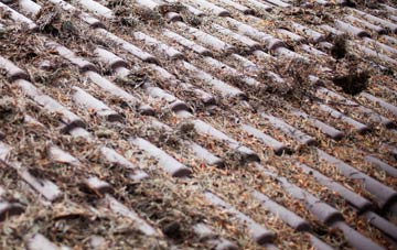 West Anstey roof cleaning companies