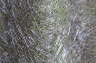 West Anstey fibreglass roof work